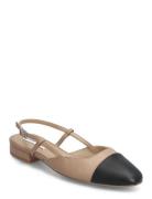 Belinda Ballerina Matalapohjaiset Sandaalit Brown Steve Madden