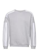 Squadra21 Sweat Top Sport Sweat-shirts & Hoodies Sweat-shirts Grey Adi...