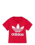 Trefoil Tee Sport T-shirts Short-sleeved Red Adidas Originals