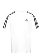 Lk 3S Co Tee Sport T-shirts Short-sleeved White Adidas Performance