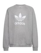 Trefoil Crew Sport Sweat-shirts & Hoodies Sweat-shirts Grey Adidas Ori...