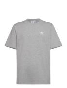 B+F Trefoil Tee Sport T-shirts Short-sleeved Grey Adidas Originals