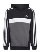 J 3S Tib Fl Hd Sport Sweat-shirts & Hoodies Hoodies Black Adidas Sport...
