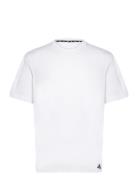 Yoga Base Tee Sport T-shirts Short-sleeved White Adidas Performance