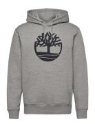 Kennebec River Tree Logo Hoodie Mgh/Dark Sapphire Tops Sweat-shirts & ...
