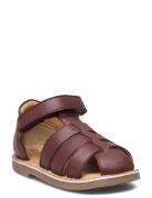 Sandal Leather Shoes Summer Shoes Sandals Brown Sofie Schnoor Baby And...