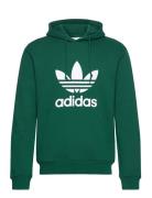 Trefoil Hoody Sport Sweat-shirts & Hoodies Sweat-shirts Green Adidas O...