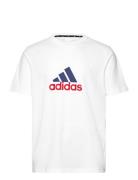 M Fi Bos T Oly Sport T-shirts Short-sleeved White Adidas Sportswear