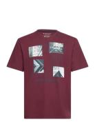 Printed T-Shirt Tops T-shirts Short-sleeved Burgundy Tom Tailor