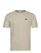 Cotton Stripe T-Shirt Tops T-shirts Short-sleeved Khaki Green Calvin K...