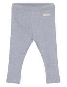 Leggings Rib Bottoms Leggings Blue Fixoni