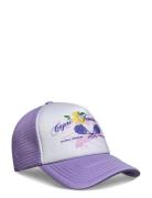 Capri Tennis Accessories Headwear Caps Purple Pica Pica