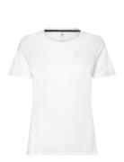 Odlo T-Shirt Crew Neck S/S Essential Chill-Tec Sport T-shirts & Tops S...