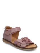 Flower Velcro Sandal Shoes Summer Shoes Sandals Purple Pom Pom