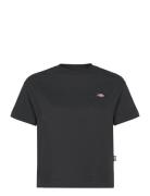 Oakport Tops T-shirts & Tops Short-sleeved Black Dickies