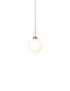 Apiales 1 Large Home Lighting Lamps Ceiling Lamps Pendant Lamps Gold N...