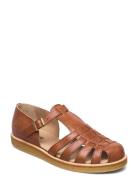 Sandals - Flat - Closed Toe - Op Matalapohjaiset Sandaalit Brown ANGUL...