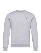 Sweatshirts Tops Sweat-shirts & Hoodies Sweat-shirts Grey Lacoste