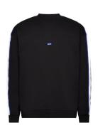 Niole Tops Sweat-shirts & Hoodies Sweat-shirts Black HUGO BLUE