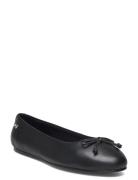 Essential Chic Ballerina Ballerinat Black Tommy Hilfiger