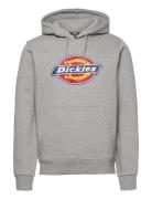 Icon Logo Hoodie Tops Sweat-shirts & Hoodies Hoodies Grey Dickies