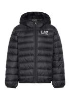 Down Jacket Toppatakki Black EA7