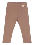 Legging Modal Bottoms Leggings Brown Petit Piao