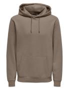 Onsceres Hoodie Sweat Noos Tops Sweat-shirts & Hoodies Hoodies Brown O...