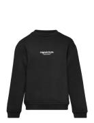 Jorvesterbro Sweat Crew Neck Bn Mni Tops Sweat-shirts & Hoodies Sweat-...