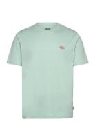 Ss Mapleton Tee Designers T-shirts Short-sleeved Green Dickies