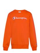 Crewneck Sweatshirt Tops Sweat-shirts & Hoodies Sweat-shirts Orange Ch...