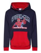 Sweats Tops Sweat-shirts & Hoodies Hoodies Navy Spider-man