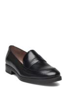 Robin Loaferit Matalat Kengät Black Wonders