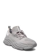 Prospect Sneaker Matalavartiset Sneakerit Tennarit Grey Steve Madden