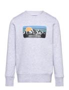 Jjpeak Sweat Crew Neck Jnr Tops Sweat-shirts & Hoodies Sweat-shirts Gr...