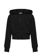 Kogbella Life L/S Zip Hood Short Ub Swt Tops Sweat-shirts & Hoodies Ho...