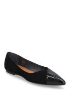 264-Delhi Cuir Brillant/Vel Ballerinat Black Jonak Paris