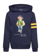 Polo Bear Fleece Hoodie Tops Sweat-shirts & Hoodies Hoodies Navy Ralph...