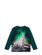 Reif Tops T-shirts Long-sleeved T-shirts Green Molo