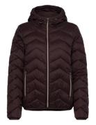 Frbapadding 1 Outerwear Vuorillinen Takki Topattu Takki Brown Fransa