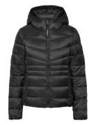 Hooded Fuji Quilt Padded Jkt Vuorillinen Takki Topattu Takki Black Sup...