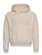 Hco. Guys Sweatshirts Tops Sweat-shirts & Hoodies Hoodies Beige Hollis...