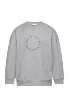 Sweat Shirt Haw Tops Sweat-shirts & Hoodies Sweat-shirts Grey Petit Pi...