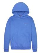 Mini Corp Hoodie Tops Sweat-shirts & Hoodies Hoodies Blue Tommy Hilfig...