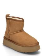 Boot Bootsit Nauhalliset Saapikkaat Brown Sofie Schnoor Young