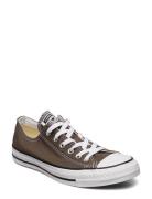 Ct A/S Seasnl Ox Charcoal Matalavartiset Sneakerit Tennarit Brown Conv...