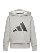 J Bl Ft Hd 280 Tops Sweat-shirts & Hoodies Hoodies Grey Adidas Sportsw...