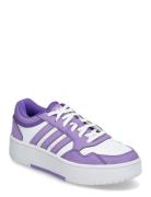 Hoops 3.0 Bold J Matalavartiset Sneakerit Tennarit White Adidas Sports...