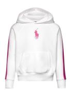 Striped Big Pony French Terry Hoodie Tops Sweat-shirts & Hoodies Hoodi...