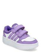 Hoops 3.0 Bold Cf C Sport Sneakers Low-top Sneakers Purple Adidas Spor...